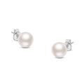 14K Gold Saltwater Akoya Pearl Stud Earrings – AAA+ Quality