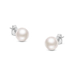 14K Gold Saltwater Akoya Pearl Stud Earrings – AAA+ Quality