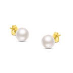 14K Gold Saltwater Akoya Pearl Stud Earrings – AAA+ Quality
